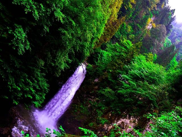 Batum'lu Doğu Karadeniz Turu 