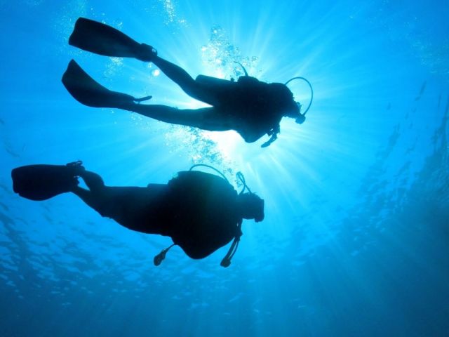 Dalış (Scuba Diving) Turu